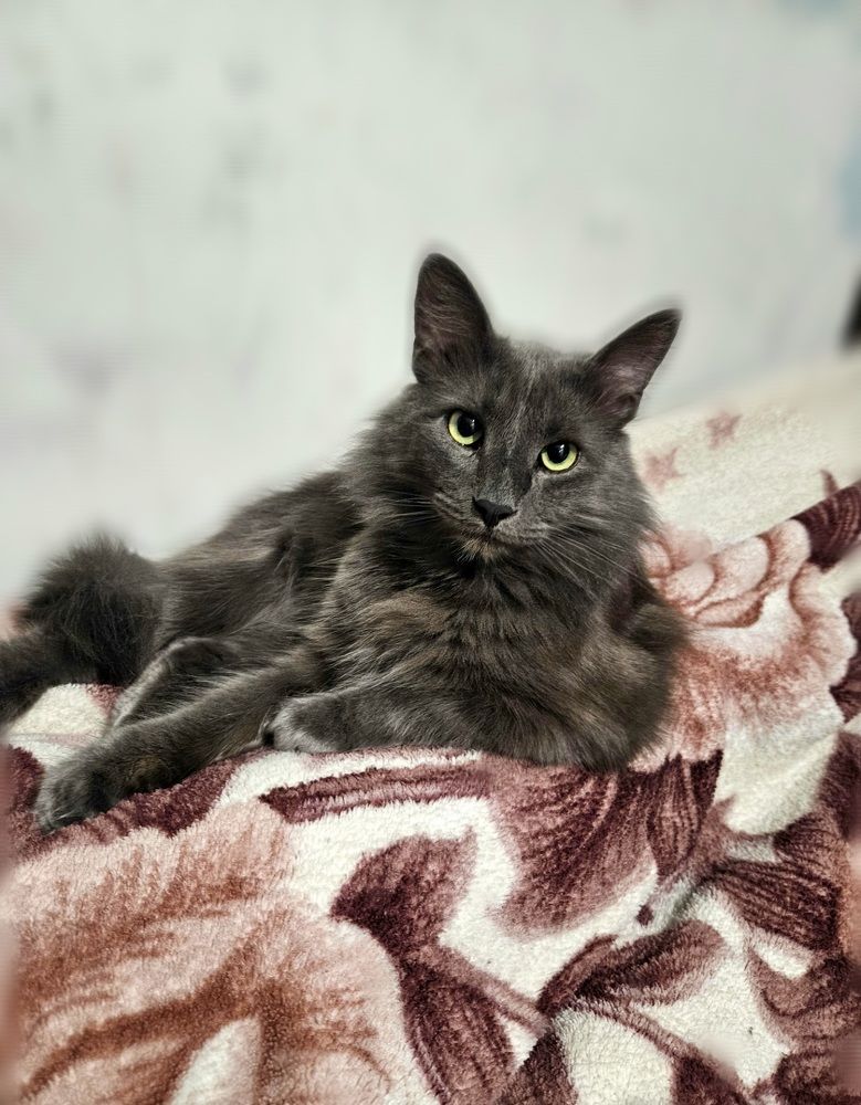 Photograph by Sofia Koshman