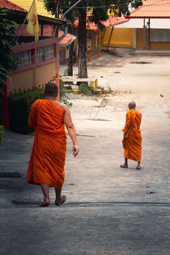 Photograph by Silke Coppens