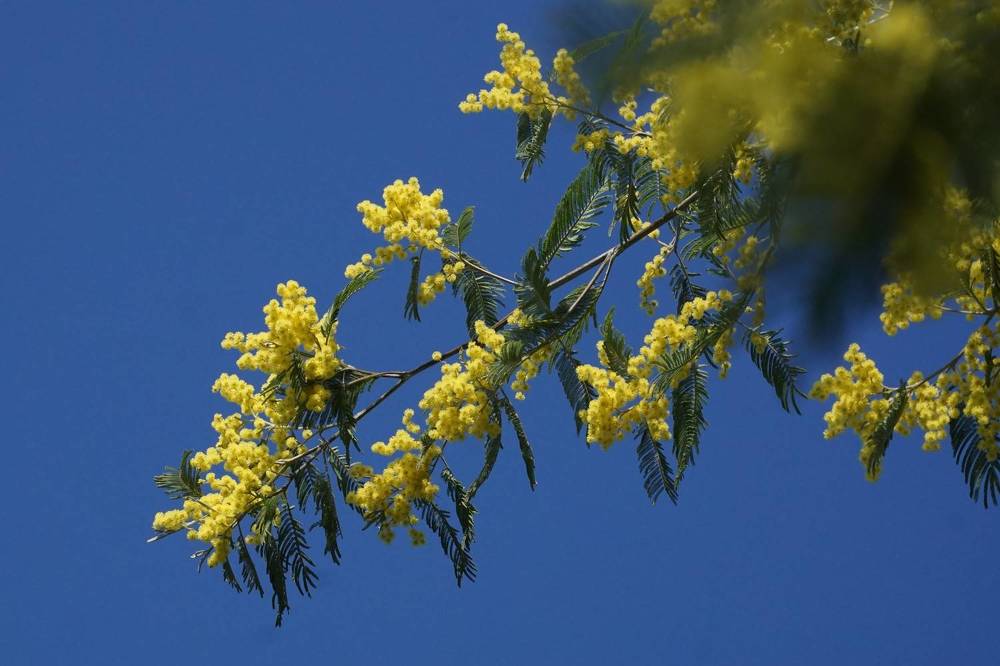 Photograph by Алфия Бугакова