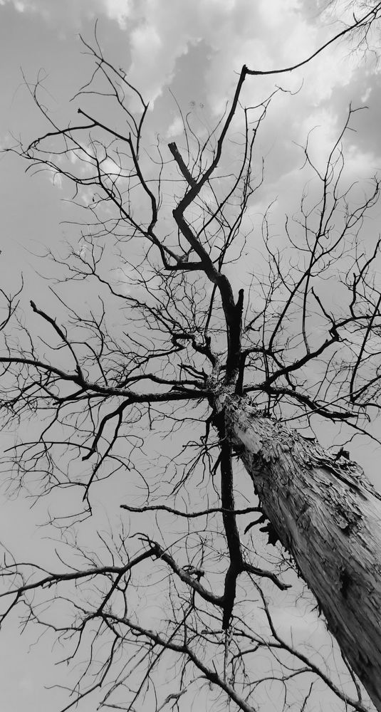Photograph by Pankaj Sen