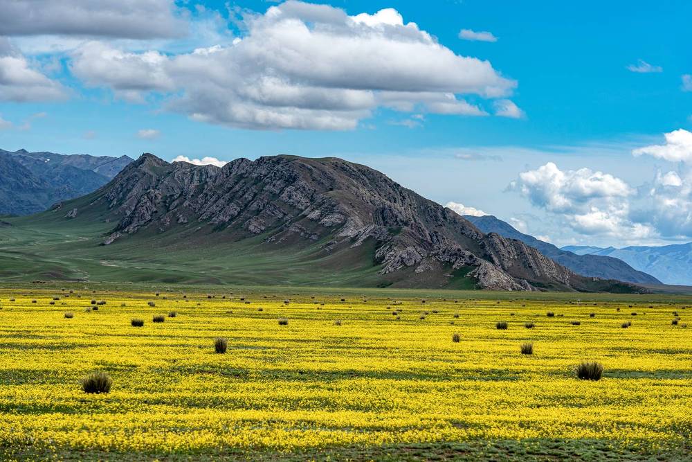 Photograph by Алексей Торлопов