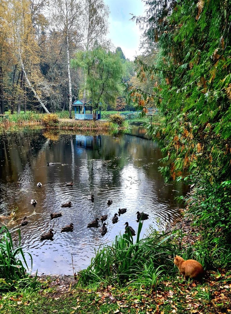 Тихая охота