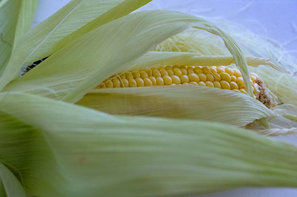 Фотография автора Abie Davies Thekkanath