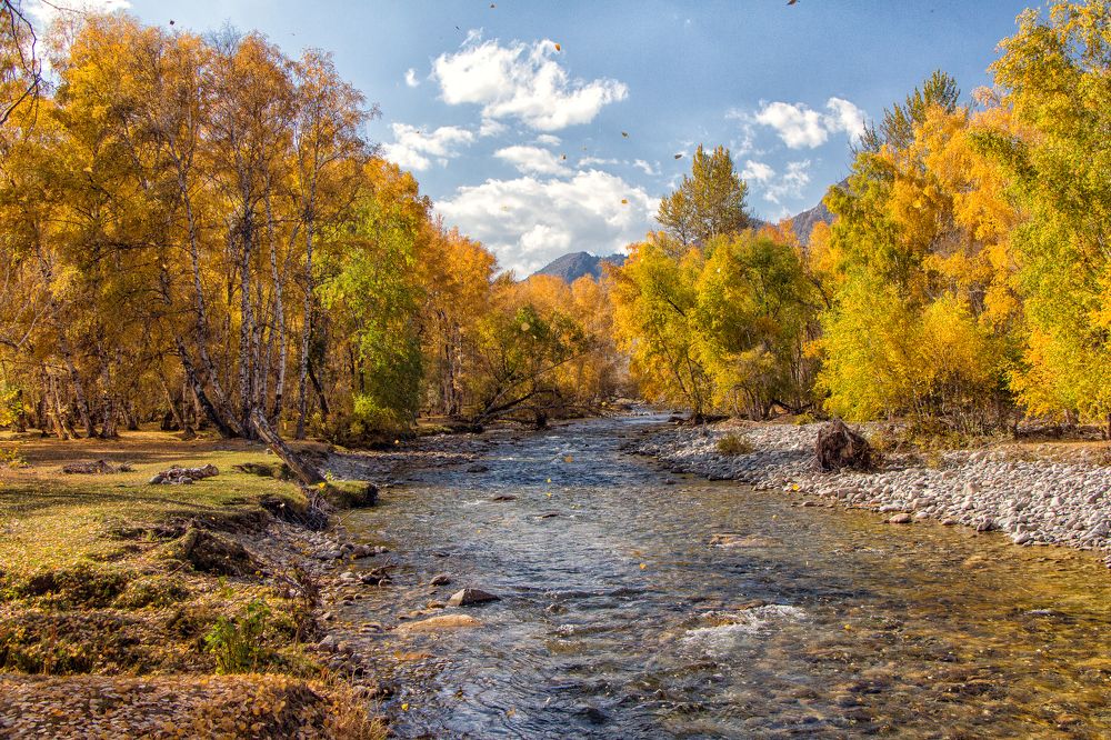 Фотография автора Галина Шепелева