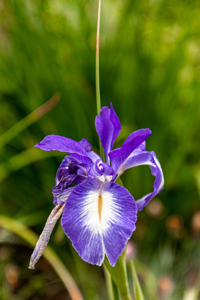 Photograph by Сергей Аникушин