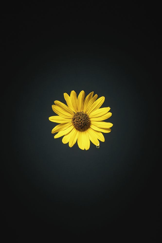 Photograph by Дёгтев Евгений