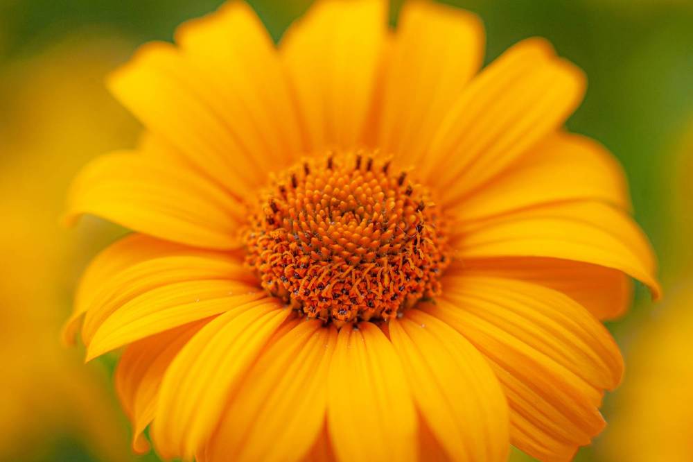 Photograph by Дёгтев Евгений