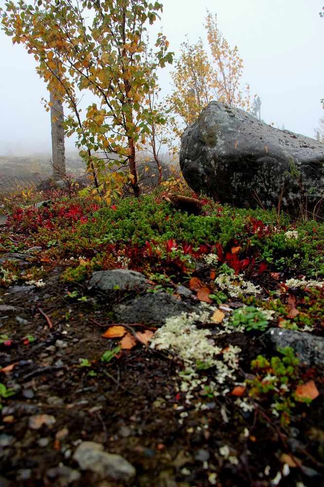 Photograph by Дарья Андрийчук