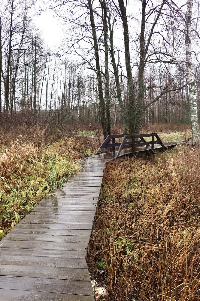 Photograph by Надежда Ткаченко