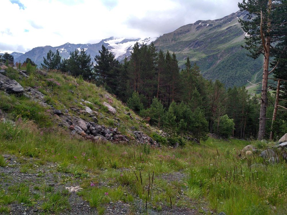 Photograph by Владислав Качан