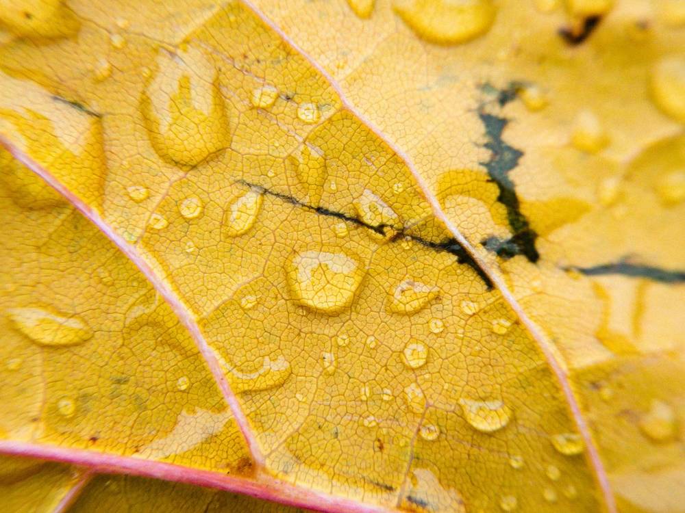 Photograph by Vitaliy