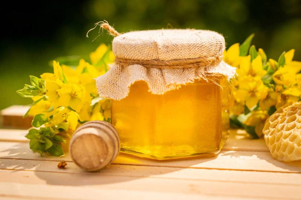 Photograph by Лина Матвеева