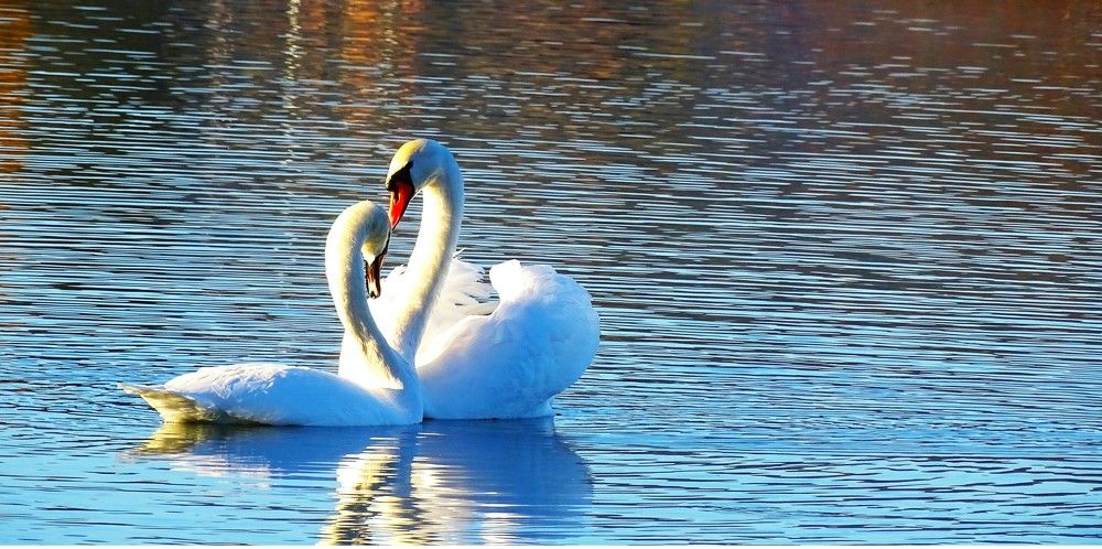 Photograph by Николай Худяков