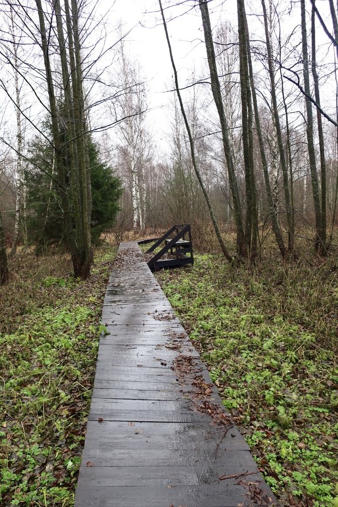 Photograph by Надежда Ткаченко