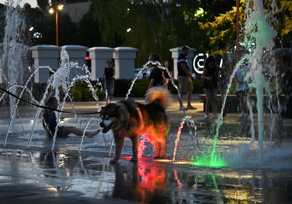 Photograph by Антонина Ахмадеева