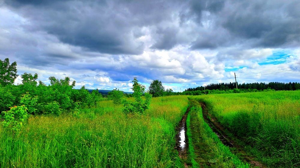 Photograph by Николай Худяков