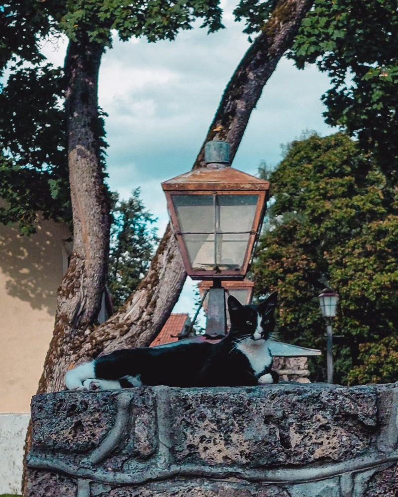 Photograph by Наталия