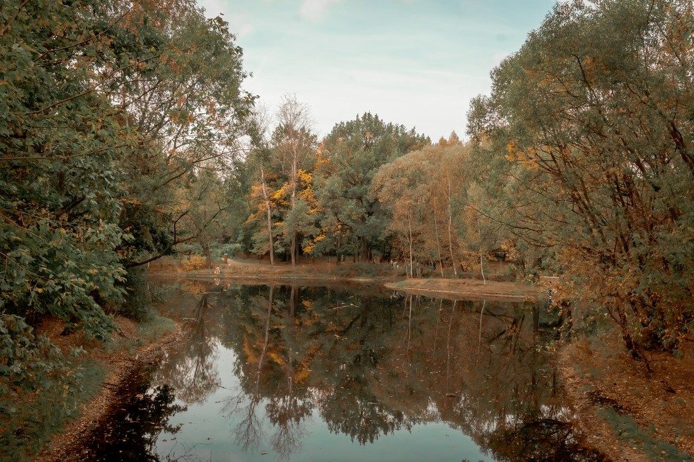 Photograph by Марина Суздаль