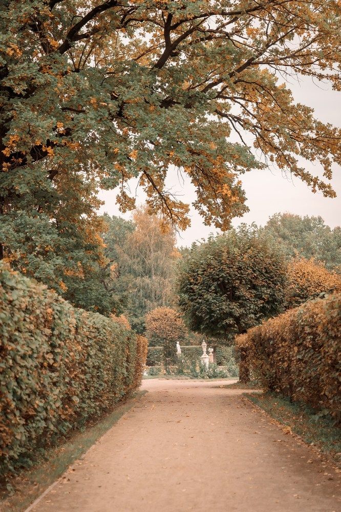 Photograph by Марина Суздаль