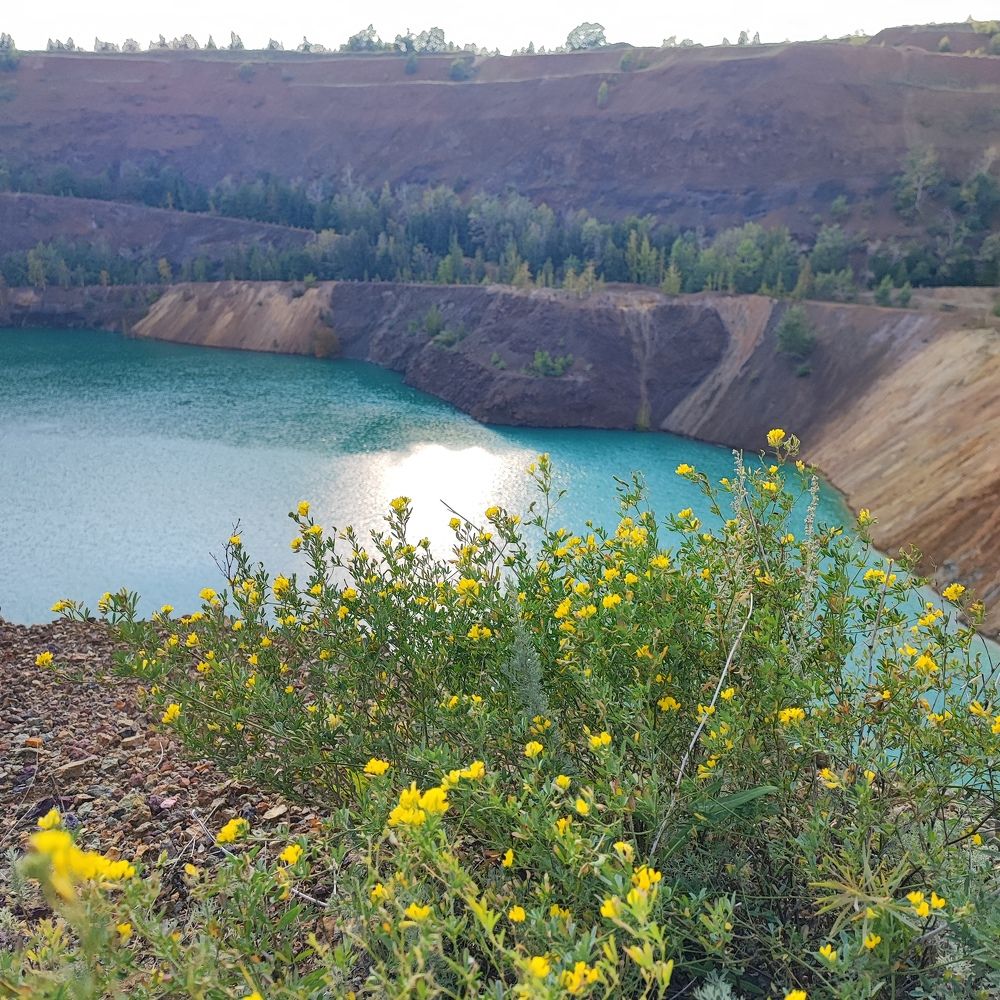 Photograph by Елена Новикова