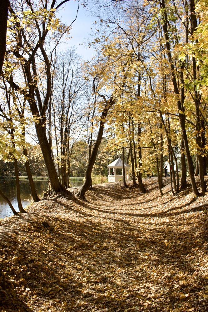 Photograph by Лариса Белашова