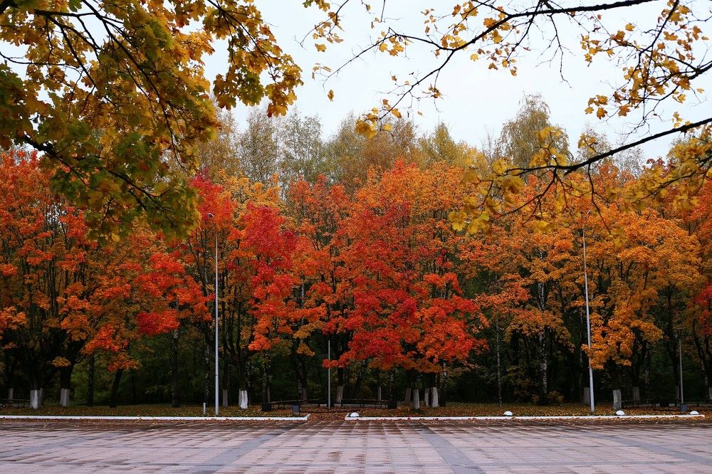 Фотография автора Геннадий Титов