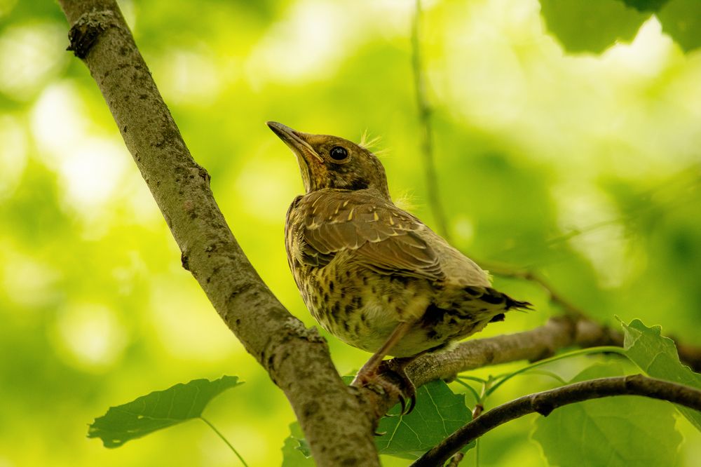 Photograph by Вениамин Кожинов