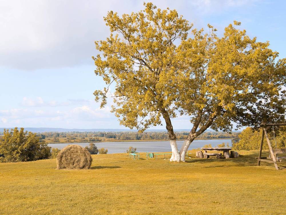 Photograph by Анастасия Рабочева