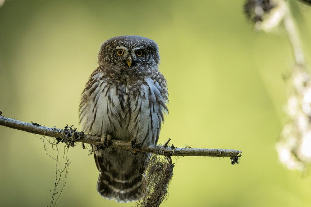 Photograph by Nikolay Stoyanov