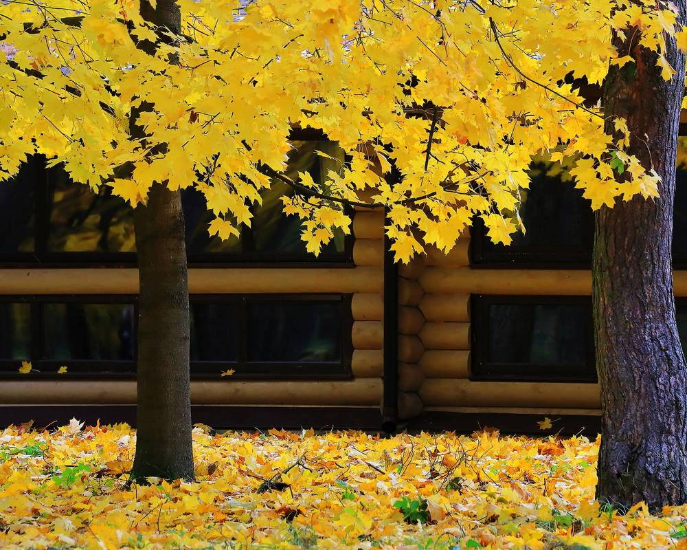 Photograph by Николай Протасеня