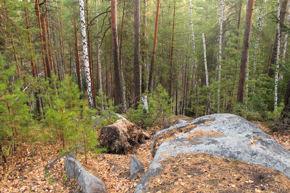 Photograph by Баженова Наталья