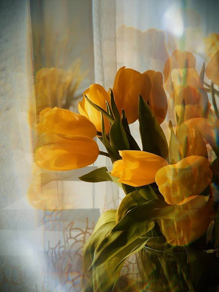 Photograph by Светлана Долганова