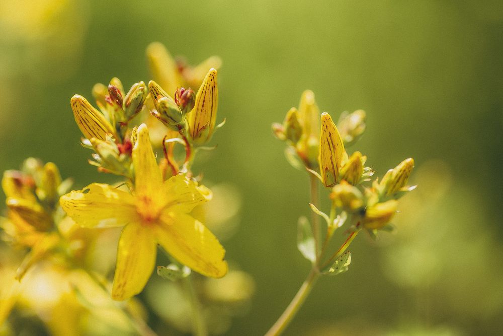 Photograph by Анна Бобкова