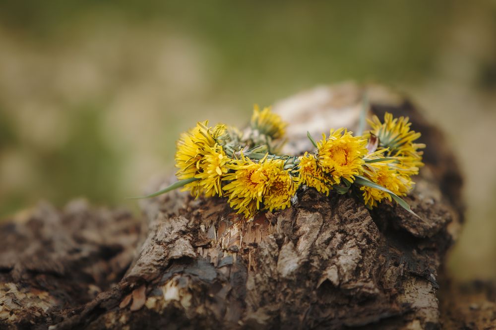 Photograph by Мария Клещенко