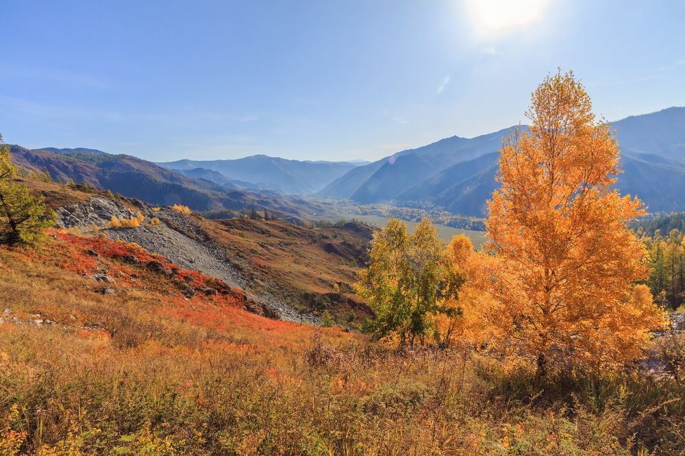 Фотография автора Галина Шепелева
