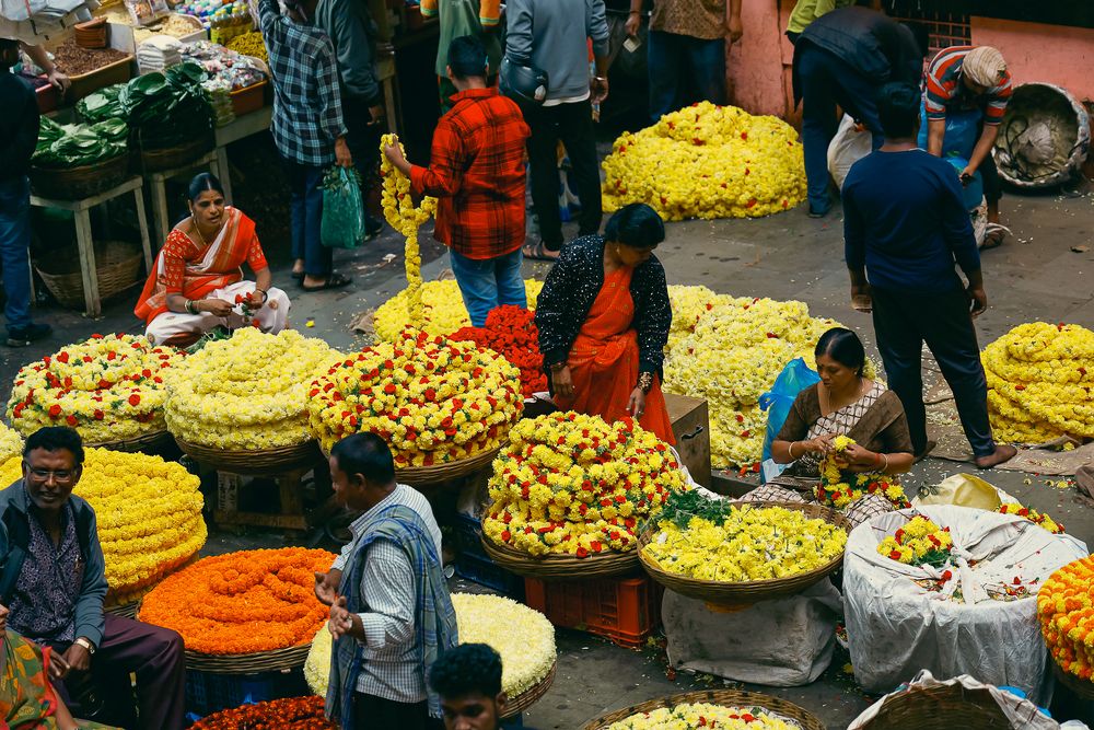 Photograph by Vignesh P Hegde