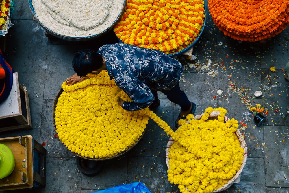 Photograph by Vignesh P Hegde