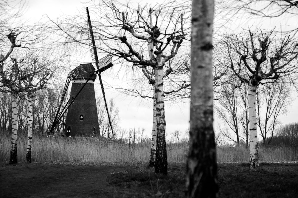 Фотография автора Ivelina Petkova