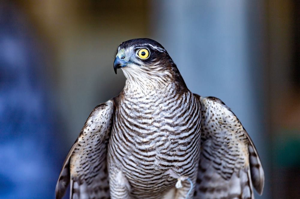 Photograph by Siarhei Saladukhin