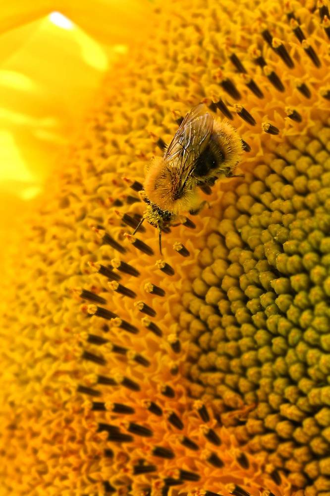 Photograph by Юлия Козельских