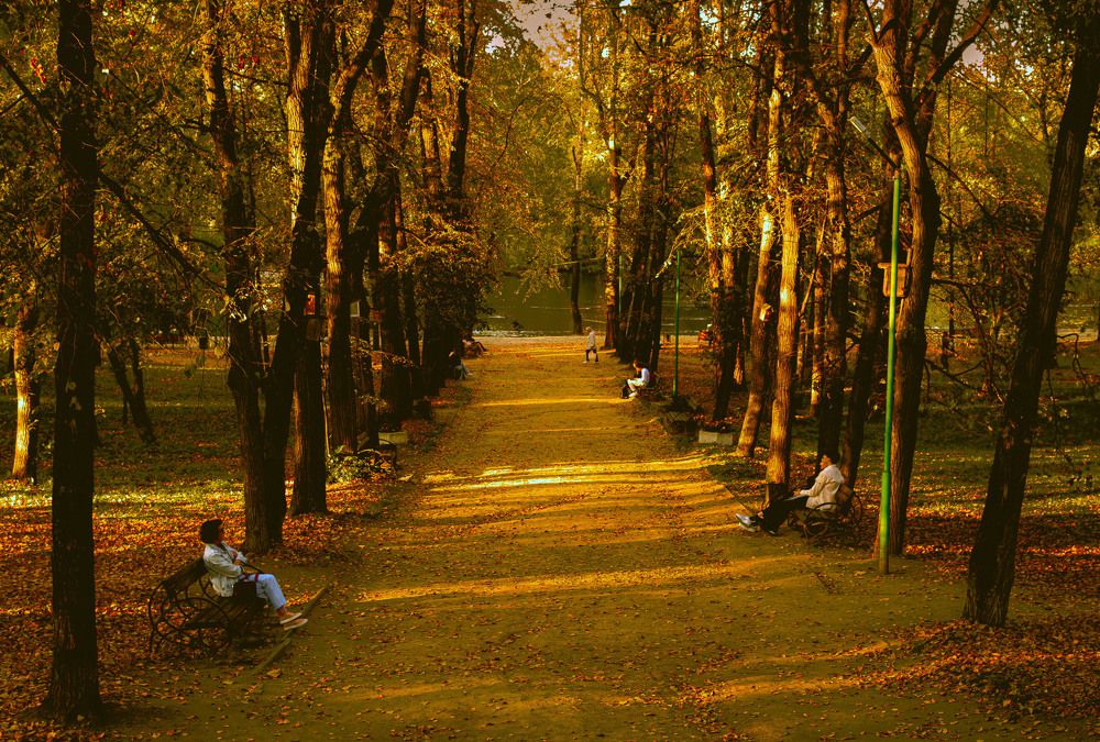 Photograph by Виктор Саврей