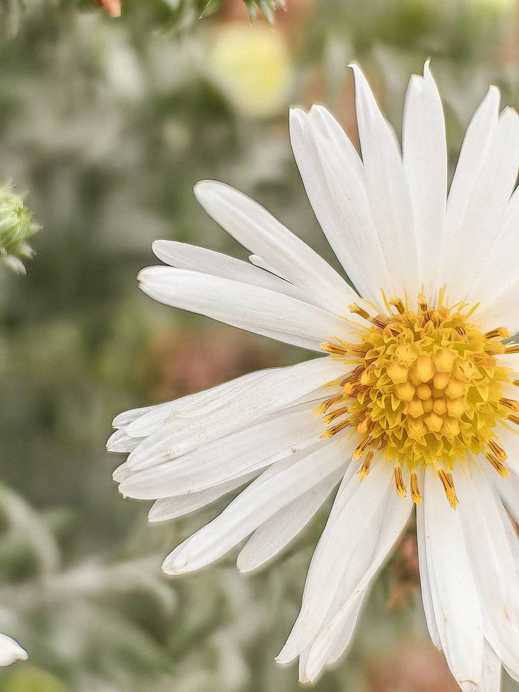 Фотография автора Елена Маслова