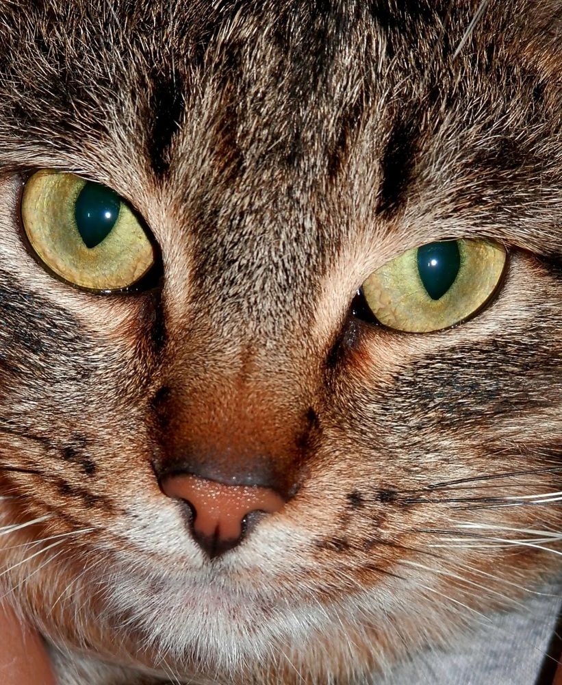 Photograph by Sofia Koshman