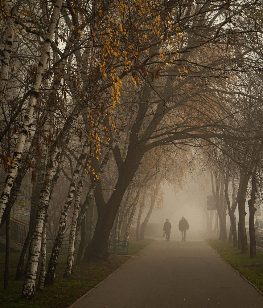 Photograph by Сергей Басов