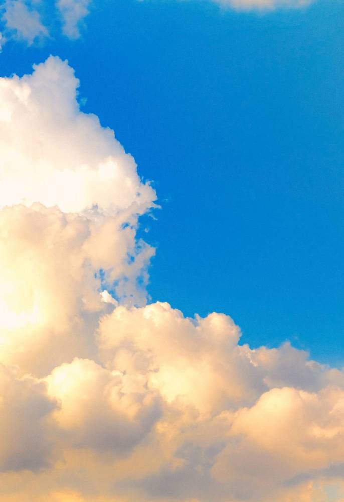 Фотография автора Gustavo Orellana