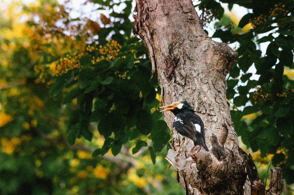 Photograph by Алина