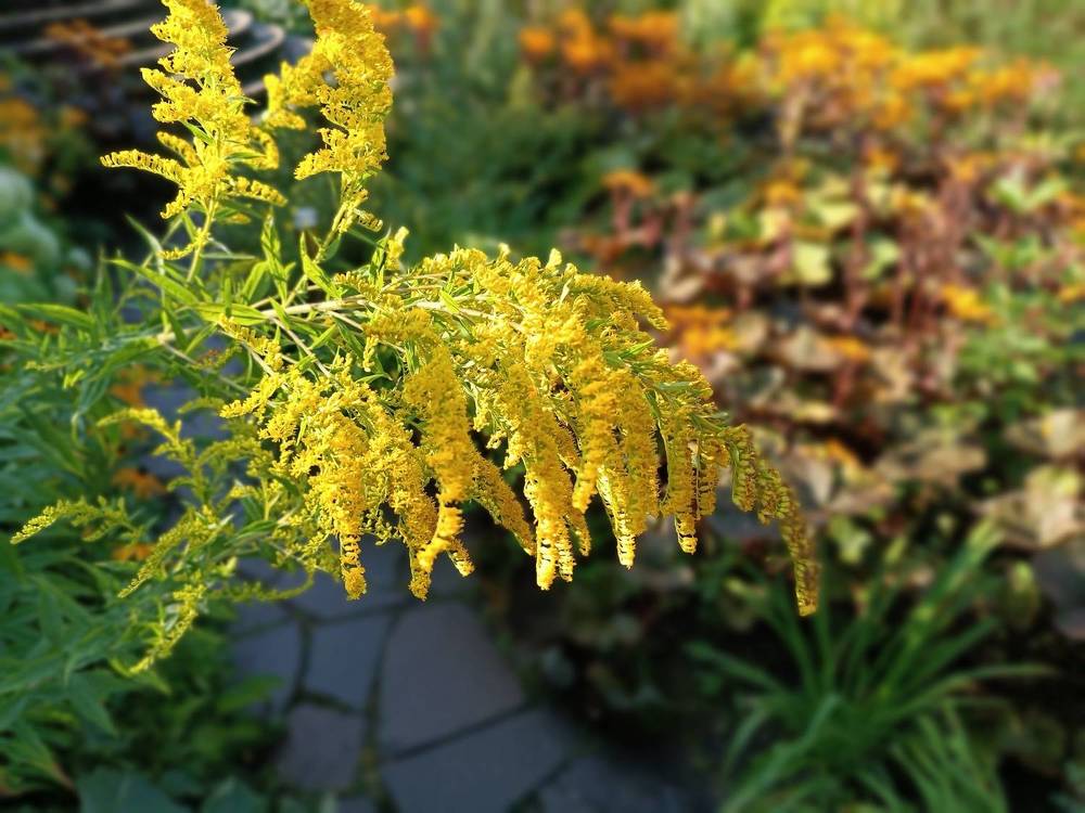 Photograph by Olga Kot