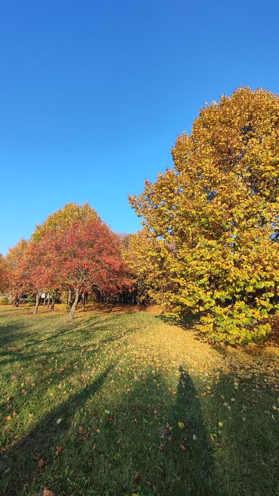 Photograph by Глушакова Татьяна Николаевна