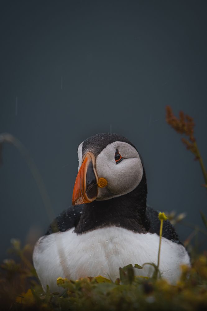 Photograph by Ángel Esteban