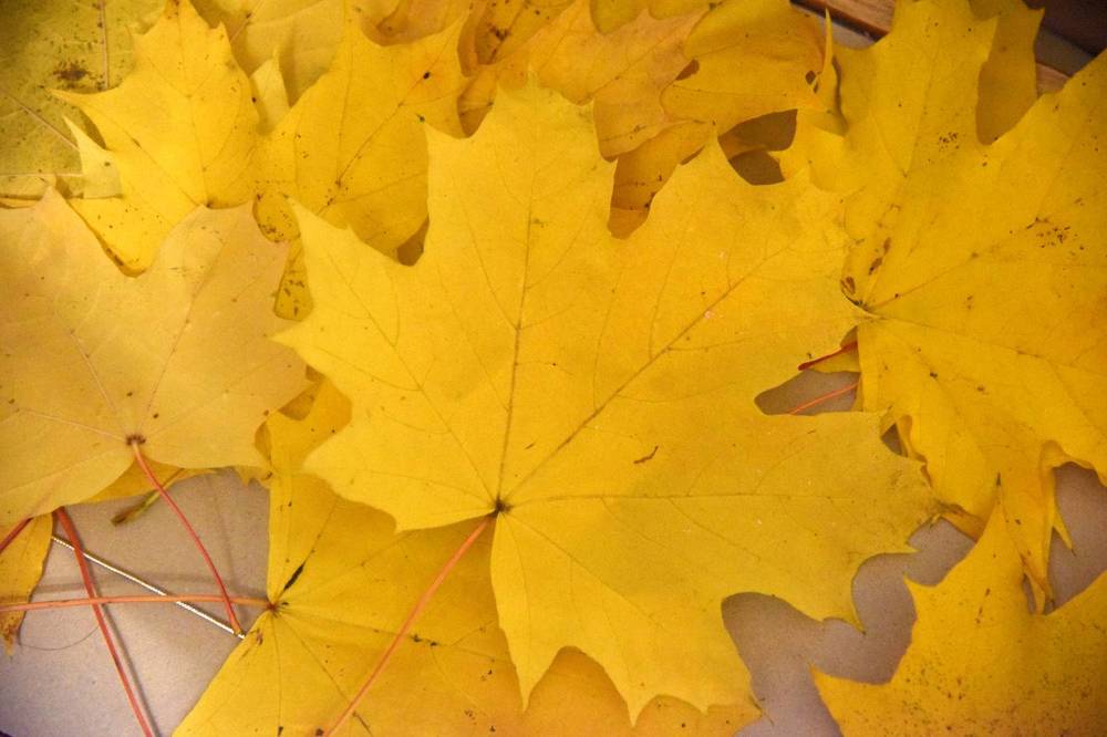 Photograph by Владислав Рубцов